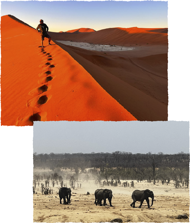namibia desert travel
